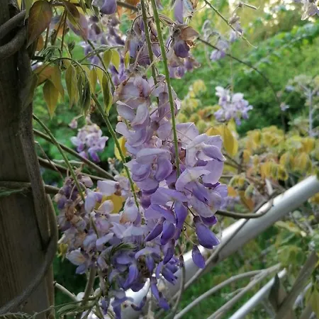 Sherwood Oda ve Kahvaltı Étretat