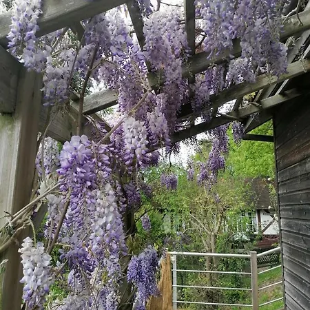 Oda ve Kahvaltı Sherwood